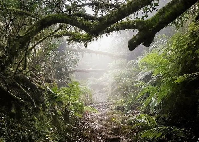 Apartamento Privado Con Piscina Daire