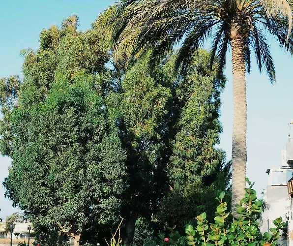 Apartamento Privado Con Piscina شقة طوستا ديل سيلونثيو