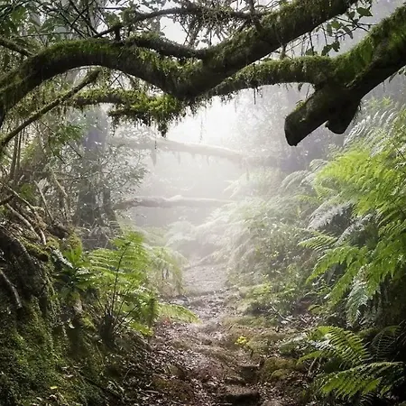 Apartamento Privado Con Piscina Διαμέρισμα