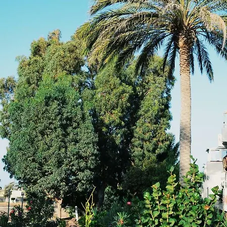 Apartamento Privado Con Piscina Διαμέρισμα Costa Del Silencio